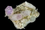 1.8" Amethyst Crystal Cluster - Las Vigas, Mexico - #136992-1